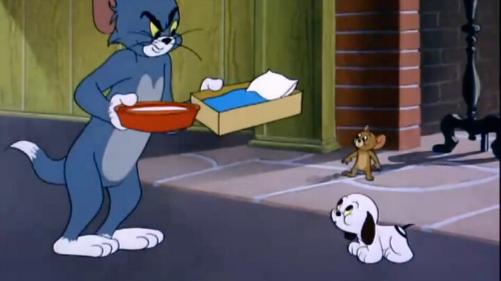 "Khi lớn lên, tôi nhận ra rằng Tom và Jerry đã dạy chúng ta rất nhiều điều"
