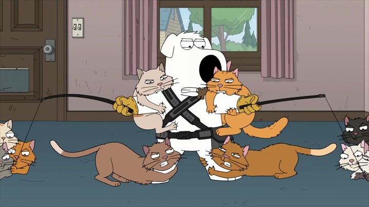 Love Cat TV: Tidak peduli apakah kucing itu hitam atau putih. Kucing yang menangkap Brain adalah kuc