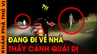 🔥 7 Sinh Vật Bí Ẩn Vô Tình Bị Bắt Gặp Khi Đang Lái Xe Trên Đường Được Camera Quay Lại | KPTV