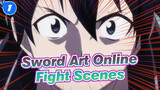 [Sword Art Online]Fight Scenes_1