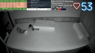 Sleep Stream 3.05.2025