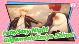 [Fate] [1080P 60Frame] ~Fate/Stay Night~ Gilgamesh VS Emiya Shirou (Infinite Sword)_2