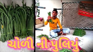 ચોળી ની પુલીયું//Chholi ni Puli #Gujrati #vlogs #Comedy #video #trending #vlogs