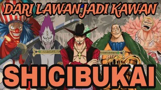 8 MANTAN SHICIBUKAI YANG PERNAH BANTU MUGIWARA PIRATES (ONE PIECE)