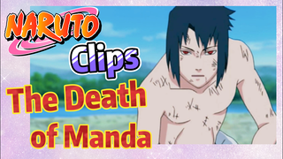 [NARUTO]  Clips |  The Death of Manda