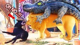 Must watch Funny Comedy Video Fake Lion & Crocodile Dog Prank Double Prank Double Funny