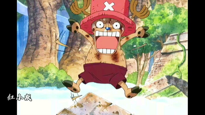 One Piece: A review of the funny things that happened to the Straw Hat Pirates in One Piece (38)