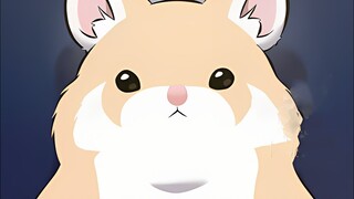 Chú chuột hamster dễ thương Iona từ Tháp Đen đang ở đây~~~