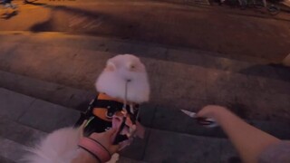 [Nuozi] Những con người tốt bụng trên đường ~ Lần đầu tiên thử sức du lịch ở ngôi nhà mới!