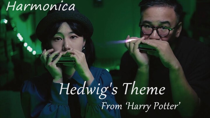 Harry Potter - Hedwig's Theme (Harmonica Ver.)