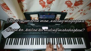 Ikaw Lang Ang Mamahalin - Joey Albert | piano cover