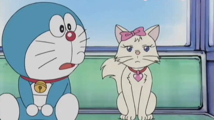 ไอ้อ้วนสีฟ้าหลงรักเลย ~ น่ารักสุดๆ ! - -