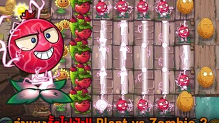 กำแพงรั้วไฟฟ้า Plant vs Zombie 2