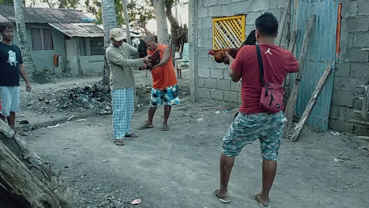 tadtad kana peo laban padin alimbuyogin 2nd generation