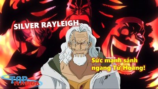 Vua Bóng Tối SILVER RAYLEIGH: Sức mạnh sánh ngang Tứ Hoàng!