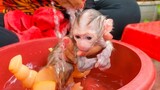 Morning Bathing!! Take a bath for tiny adorable Luc to keep him healthy all the times