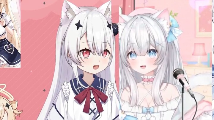 [Suzumiya Suzu/Shirayuki Arya] What the white cat did when faced with Suzubo's new clothes was...