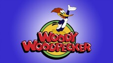 Woody Woodpecker E194