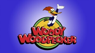 Woody Woodpecker E174