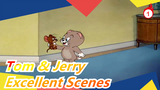 [Tom & Jerry] Tôi chưa bao giờ xem Tom & Jerry nào xuất sắc thế này_1