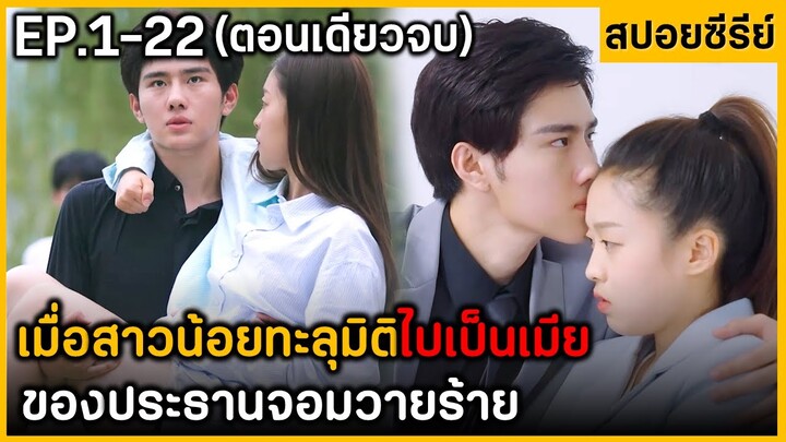 (ตอนเดียวจบ) สรุปเนื้อเรื่องมินิซีรีย์จีน Foll in Loue in the Book 22 EP. ฟังกันยาวๆ ดูกันเพลินๆ