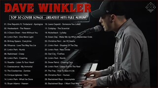 Dave Winkler - Top 30 Most Viewed Acoustic Covers