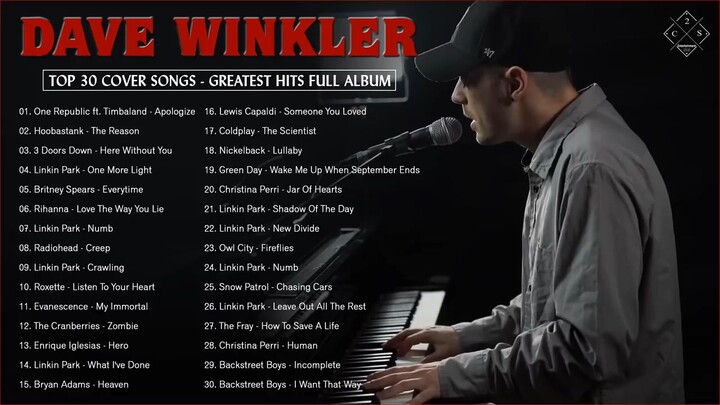Dave Winkler - Top 30 Most Viewed Acoustic Covers