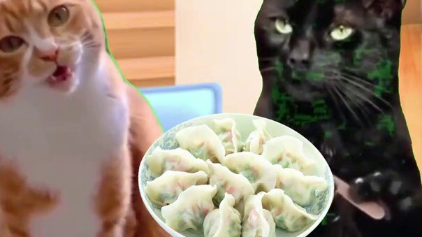What do Chinese immigrants do when they have parties? [Cat meme]