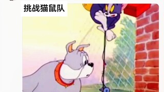 当黑神话遇到猫鼠队🐵