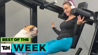 Dogs Are The Best Workout Partners Best of the Week