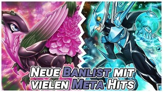 HERO, MEKLORDS & BLACK ROSE werden GEHITTET || September 2022 Banlist || Yu-Gi-Oh Duel Links