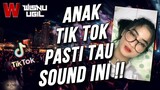 DJ Fujin Anthem Wilfexbor X Sarko Kumalera Wisnu Ugil X Jedag Jedug Viral Tik Tok 2022 Full Bass