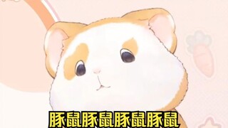 Hua Ling: Guinea Pig Guinea Pig Guinea Pig Guinea Pig Guinea Pig [Phim Hua Ling]