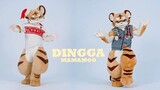 DINGGA with Little Tiger! DINGGA! not happy?