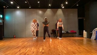 BLACKPINK LISA - 'SENORITA' DANCE PRACTICE VIDEO