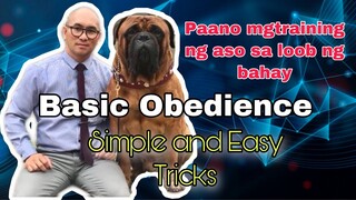 Paano magtraining ng aso sa loob ng bahay/ simple and easy basic obedience