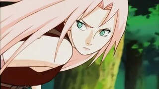 【all Sakura】includes Sasuke, Sakura, Naruto, Sakura, Sakura, Li, Sakura, Sakura, Scorpion, Sakura, I