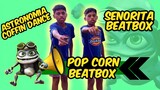 Amazing Twins: Nonstop Beatbox Cover Señorita Popcorn and Astronomia