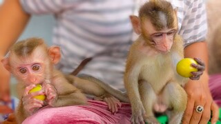 Tiny adorable Toto Yaya so happy enjoy eating Putra​​ fruit together