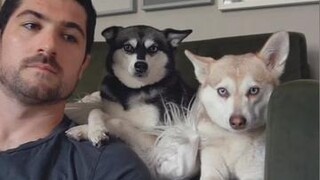 It’s the ending for me 🥺 dogs cutedogs