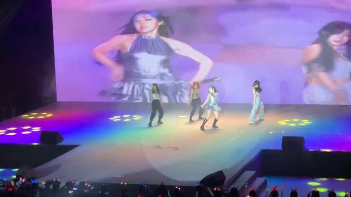 【blackpink】The New Year Party is like a concert, singing and dancing shut down