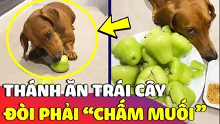 Chú chó với sở thích Mukbang 'TRÁI CÂY CHẤM MUỐI' khiến ai xem cũng phải trầm trồ 😅 | Gâu Đần