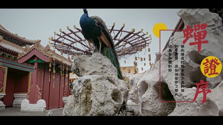 【如懿传/1080P/催泪台词向/嫔妃下线群像】原来这里的人都这么可怜。