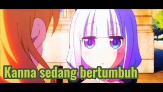 Kanna sedang bertumbuh