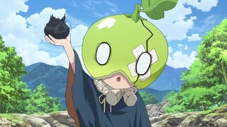 Dr Stone | Suika the cutest watermelon (Part-1)