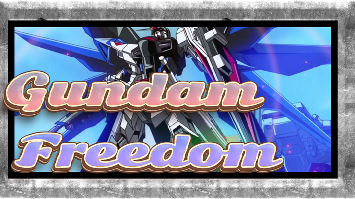 Gundam-Freedom_B