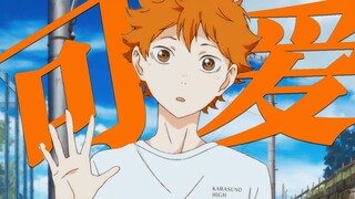 "The cutest in the world" | Hinata Shoyo