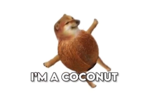 i am a coconut