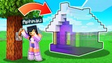 True INVISIBLE House PRANK In Minecraft!