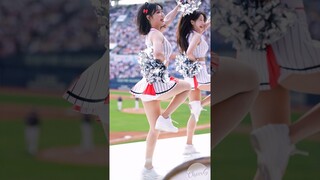 시즌1호 롯홍라! 최홍라 치어리더 직캠 Choi Hong-Ra cheerleader 롯데자이언츠 240615 |4K